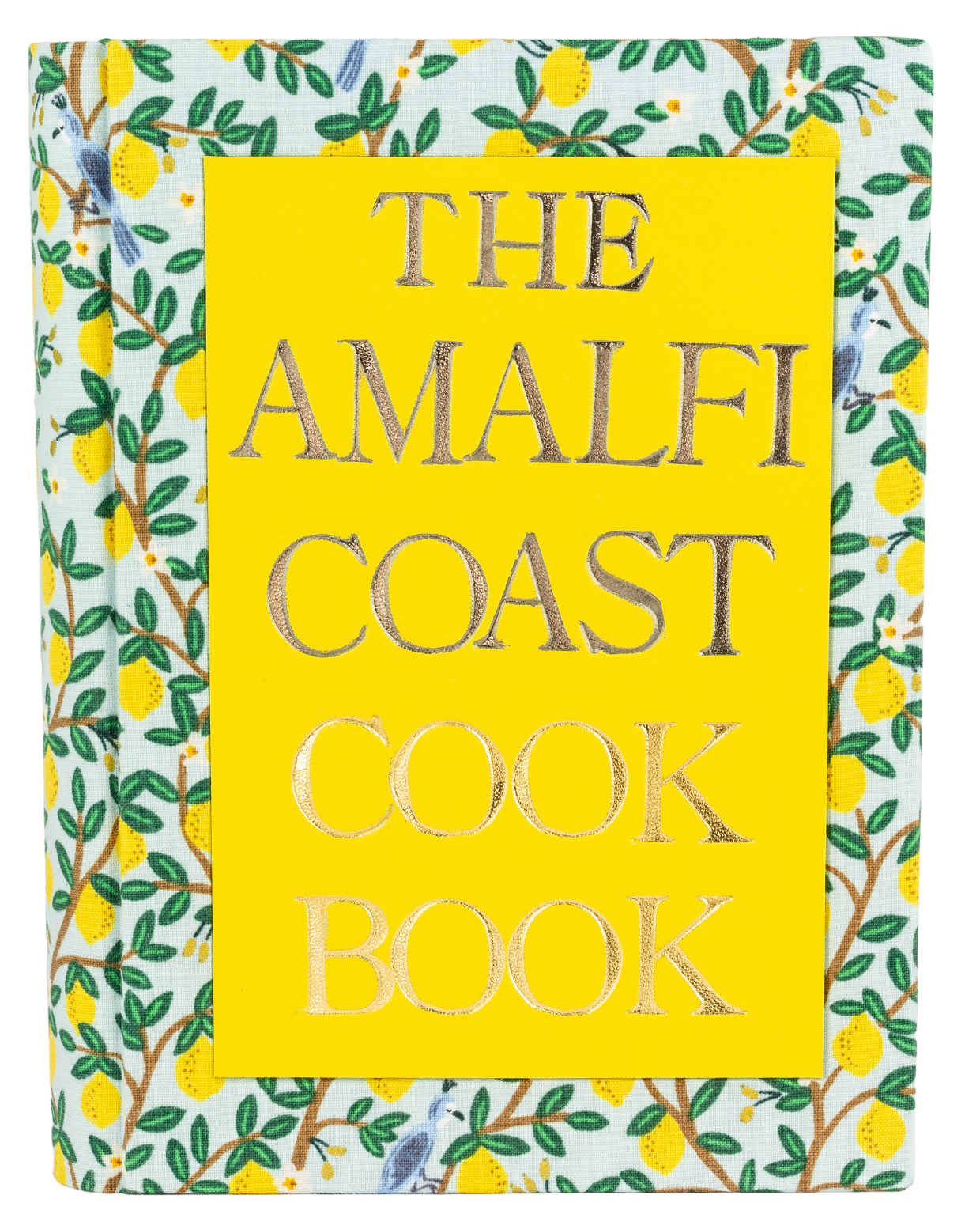 Amalfi Coast Cook Book -  leather Book Clutch