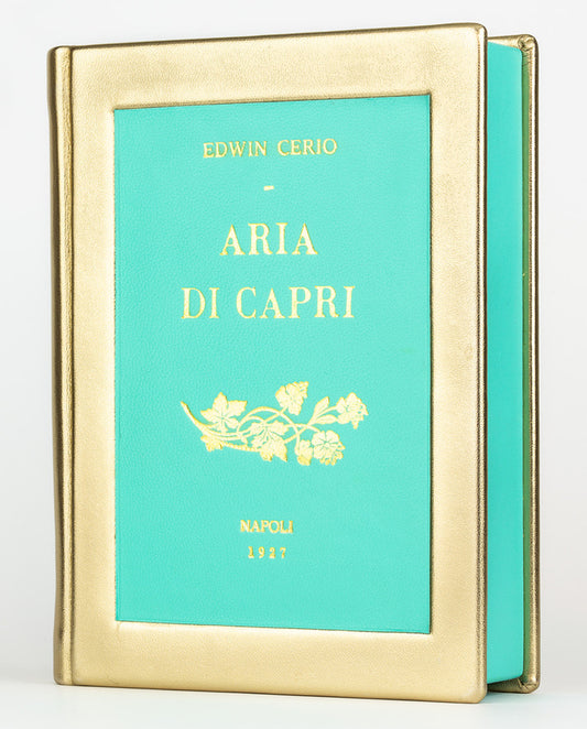 Aria di Capri - leather Book Clutch