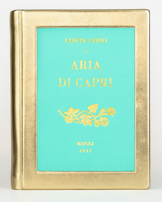 Aria di Capri - leather Book Clutch