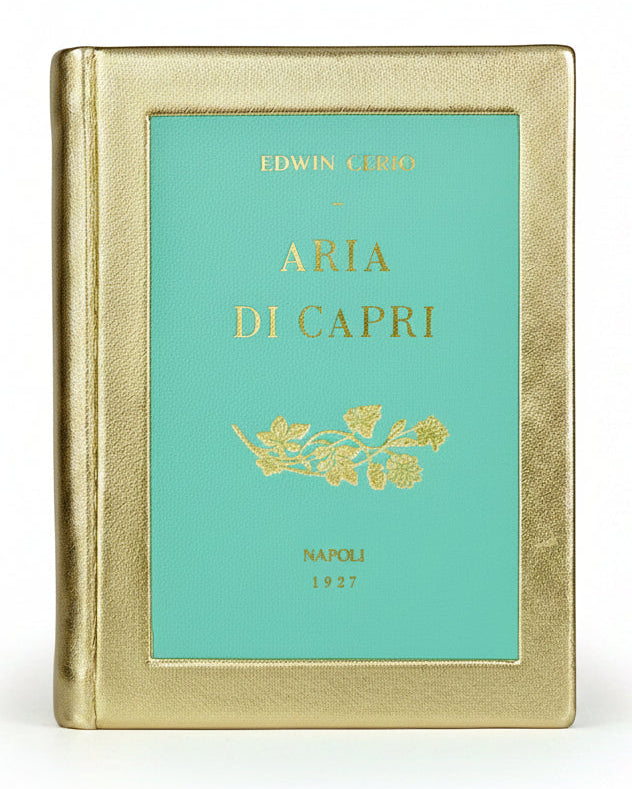 Aria di Capri - leather Book Clutch