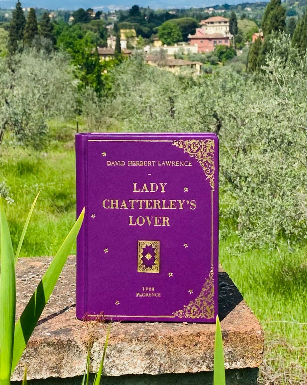 A purple hardcover book titled 'Lady Chatterley's Lover' by David Herbert Lawrence, standing upright on a stone ledge with a blurred outdoor landscape of greenery and buildings in the background.
