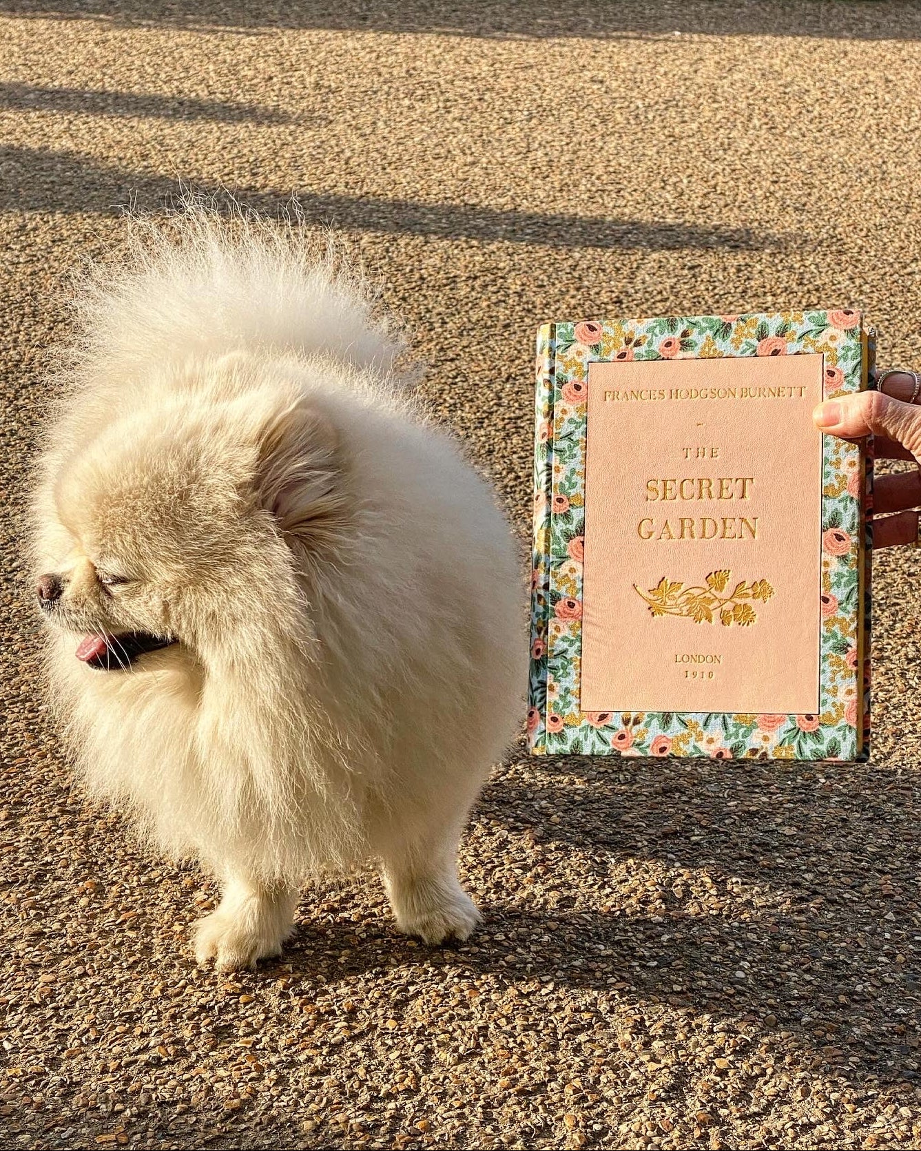 The Secret Garden - mixed materials Book Clutch